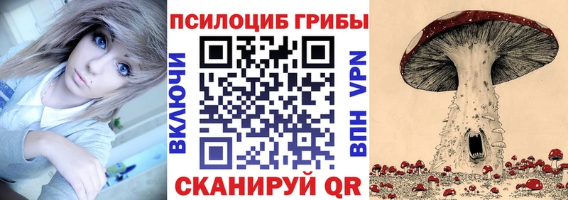 Купить  Дубовка  Псилоцибиновые грибы Psilocybe 