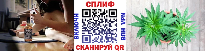Купить где  Дубовка  Бошки марихуана ГИДРОПОН 
